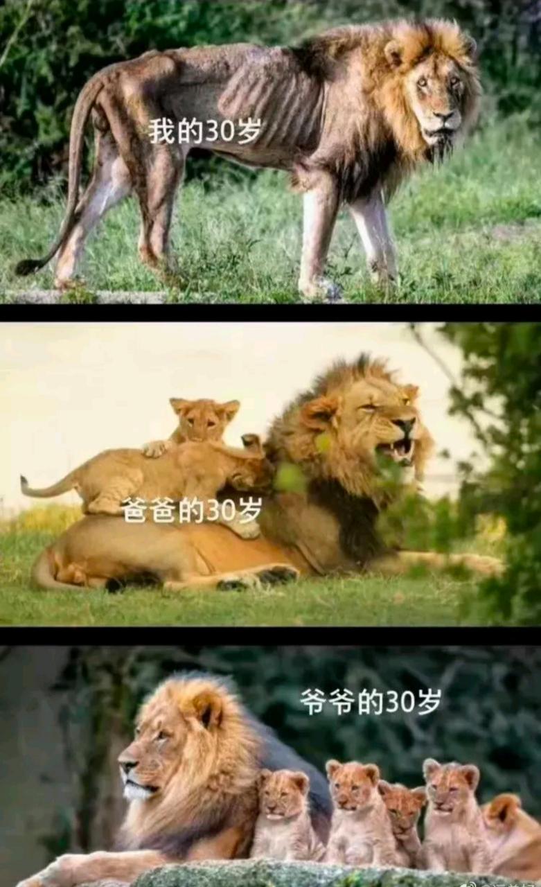 “爺爺的30歲”代表什么生肖、爺爺的三十歲爸爸的三十歲我的三十歲圖片