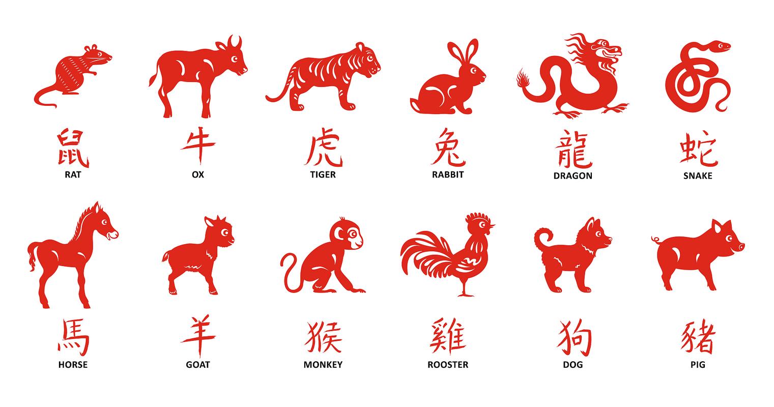 包含“嫦娥月宮念八戒”是什么生肖動物的詞條