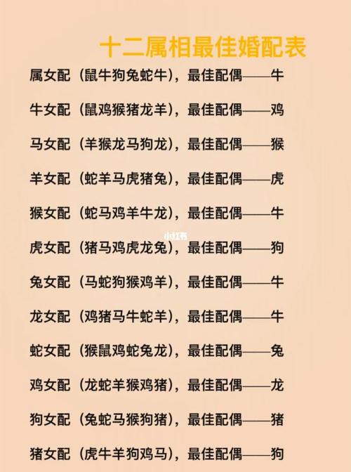龍跟什么生肖配對(duì)最好女、龍跟什么生肖配對(duì)最好女孩