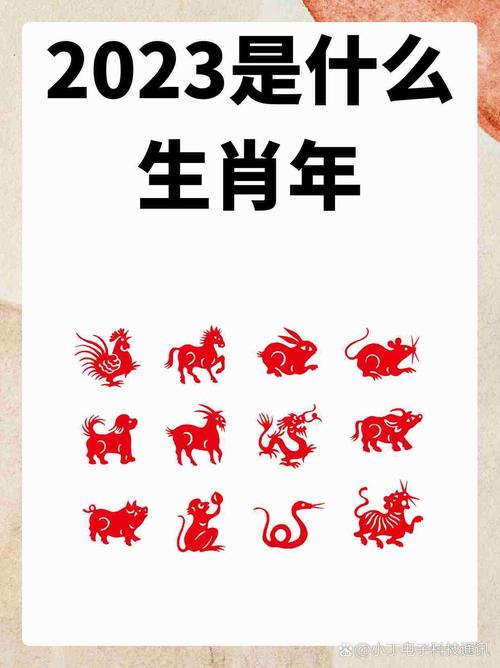 兔沖什么生肖、屬兔人一生最旺3個人屬相的排序