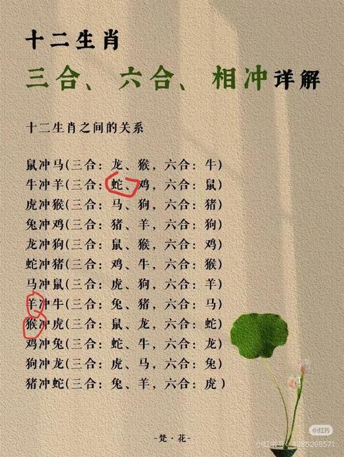 今期生肖齊歡慶是什么動物、今期生肖齊歡慶2533中一個猜生肖