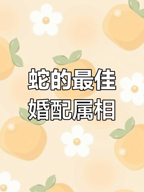 蛇跟什么生肖配對最好能賺錢、蛇跟什么生肖配對最好能賺錢呢