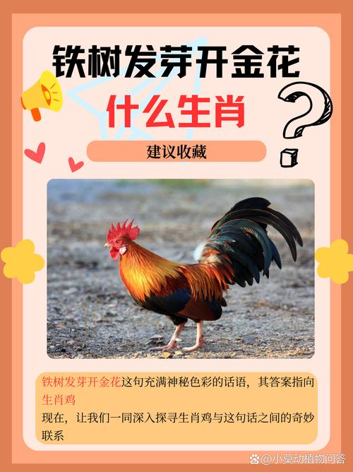 今期生肖是老大正確答案、今期生肖數(shù)老大必中不服要比過