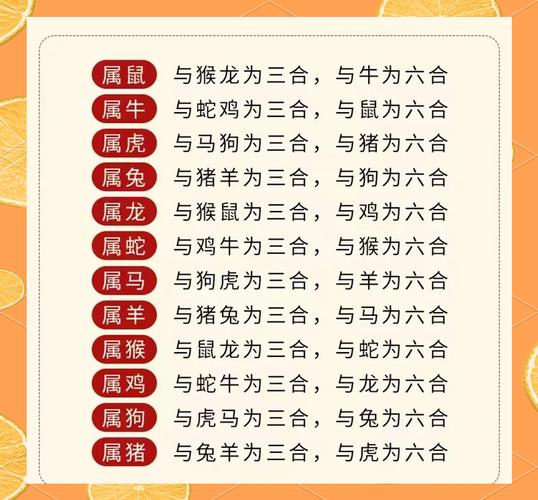 左右打一生肖是什么、左右肖是哪些生肖是什么