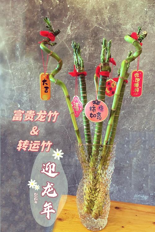 竹開的什么生肖、竹子開花是什么生肖
