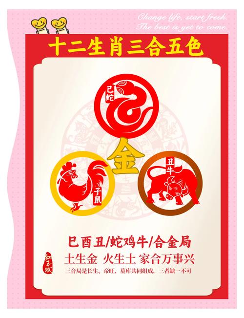 紅藍今期任你選最佳生肖、紅藍生肖中本期的動物是什么