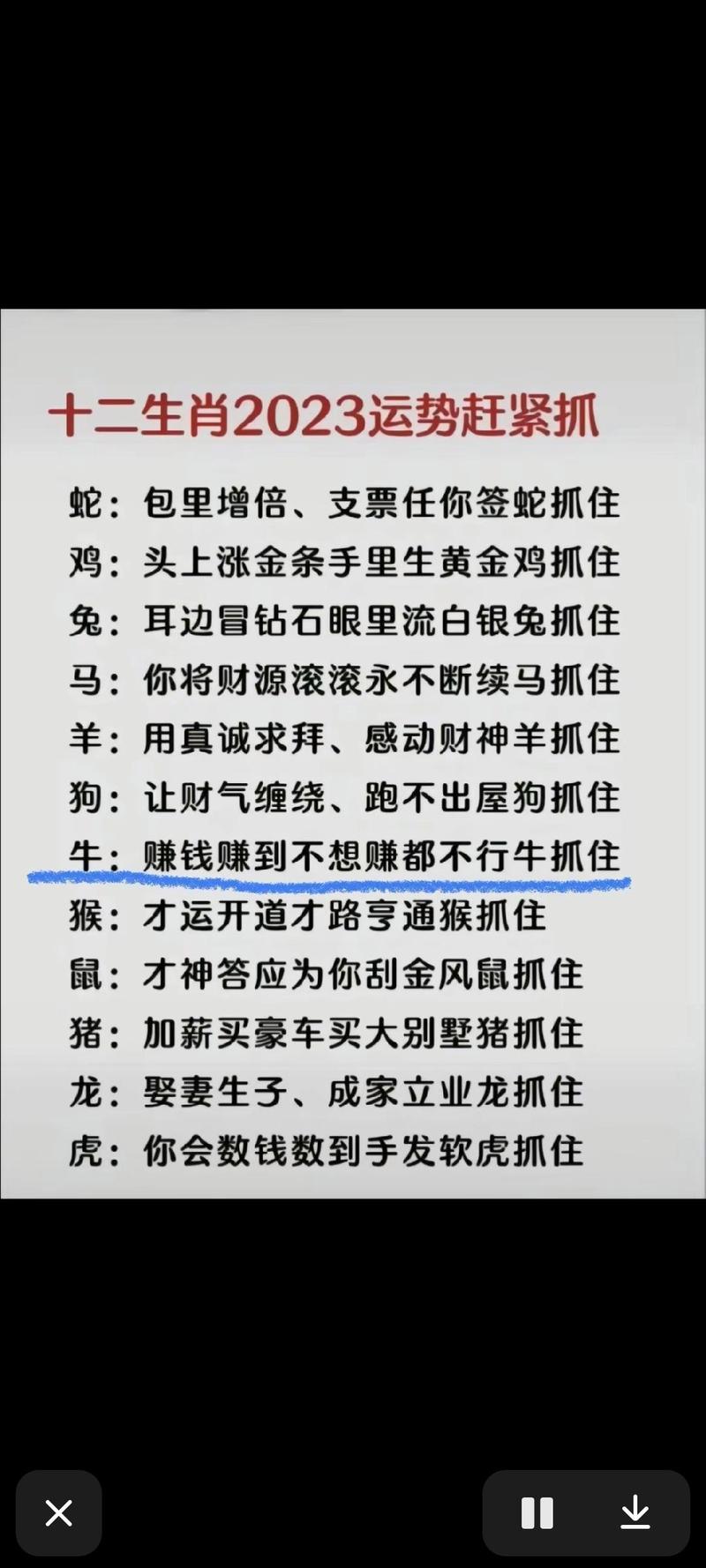 今期生肖很重要的生肖是什么、今期生肖很重要的生肖是什么生肖