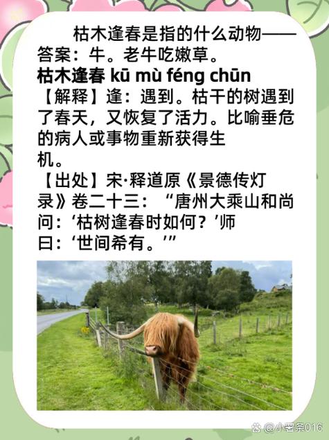 包含“土生土長種地漢”是什么生肖的詞條