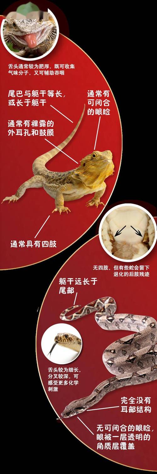 關于“三六晚來二九殘,一點殘紅三八事”打一最佳準確生肖的信息