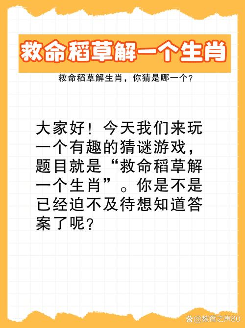關于指打一生肖最佳答案圖片的信息
