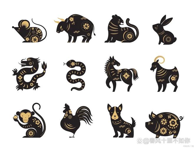 今期生肖出冷門(mén)的動(dòng)物是什么動(dòng)物、今期生肖出冷門(mén)的動(dòng)物是什么動(dòng)物呢