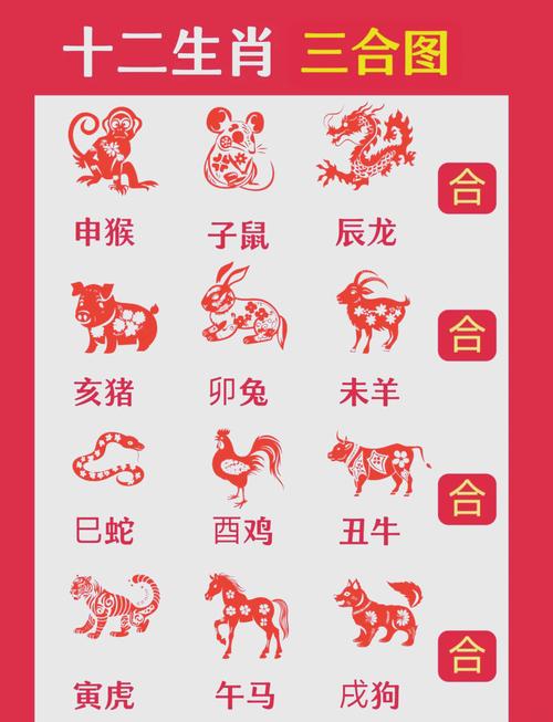 今期動(dòng)物三三開(kāi)是什么生肖呢的簡(jiǎn)單介紹
