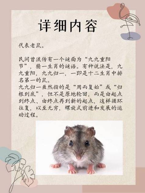 什么生肖代表九、什么生肖代表九九重陽節