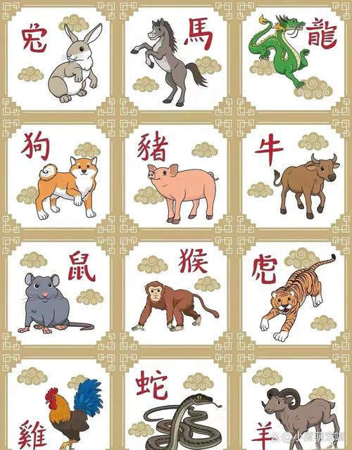 什么生肖最笨生肖排名、十二生肖中什么生肖最笨的動物