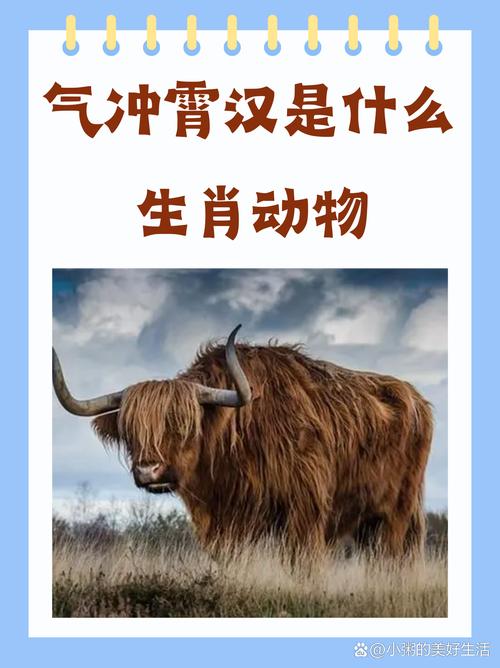 等打一生肖是什么動物的簡單介紹
