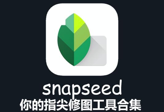 snapseed官網、Snapseed官網 專業的照片編輯工具