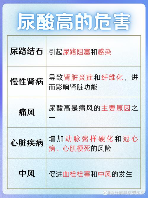 什么是尿酸高什么是痛風、什么是尿酸高,有什么危害