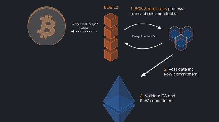 bob貨幣、BoB貨幣幣圈