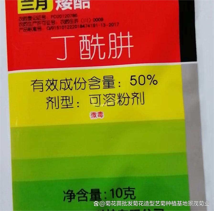 盆景批發價格一覽表、盆景批發市場哪里便宜