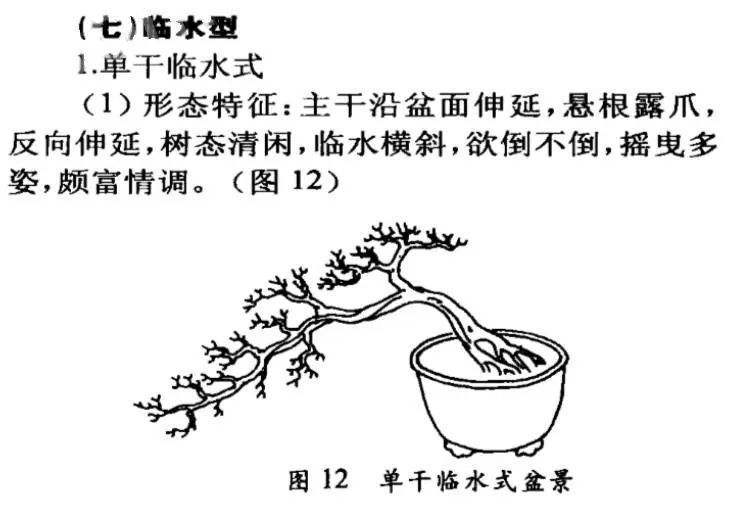 常見的盆景造型圖解、常見的盆景造型圖解視頻