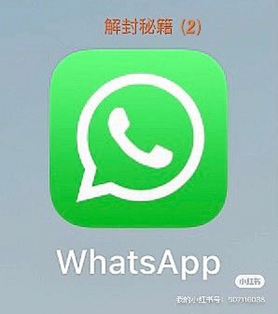 whatsapp官網下載不能用、下載whatsapp 怎么用不了