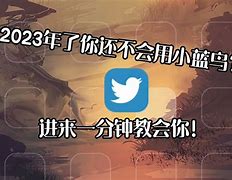 藍鳥Birdy怎么下載、birdy官網中文版免費下載