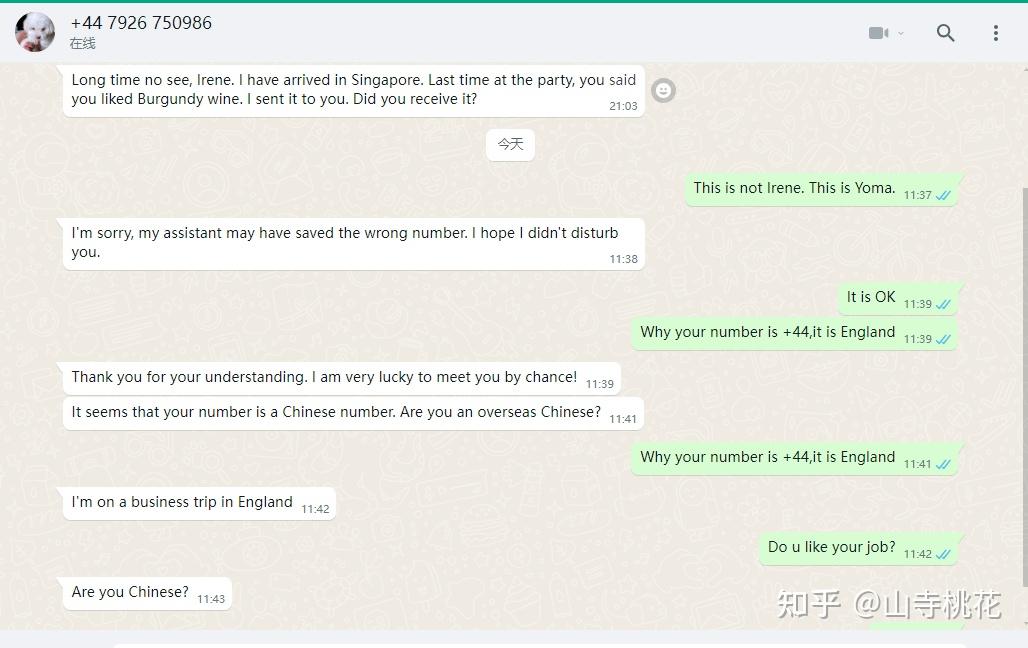 英文skype什么意思、英文skype是什么意思