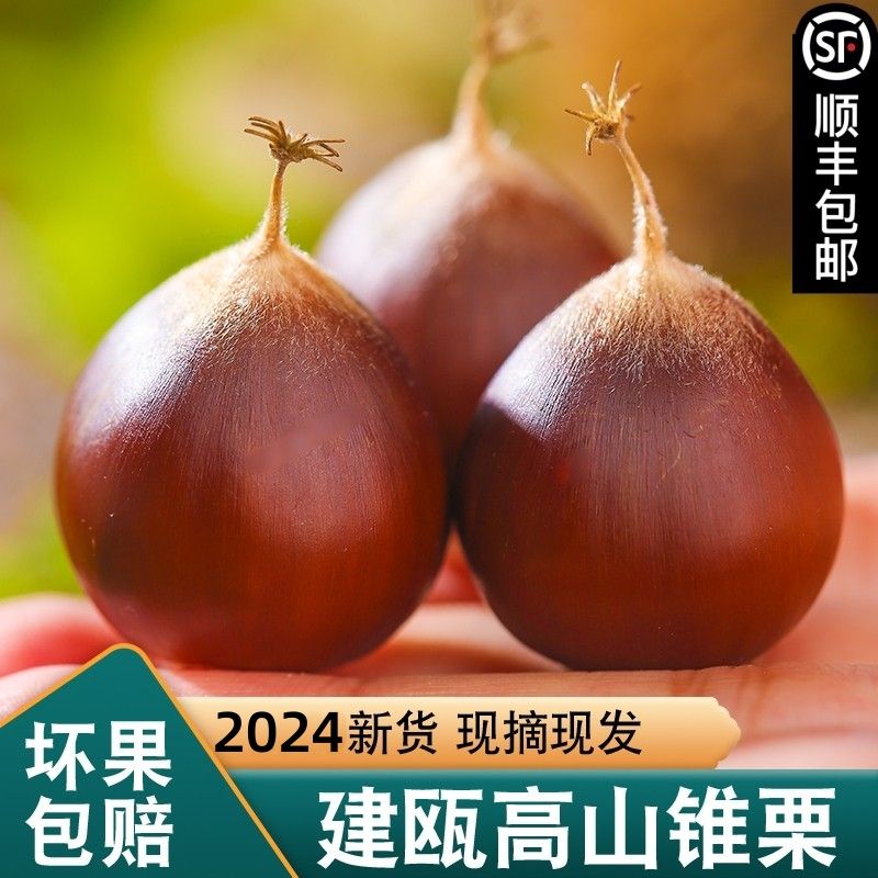 酸棗仁價格2024最新價格、酸棗仁價格暴漲至1000元一公斤