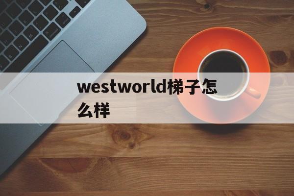 關于westworld梯子怎么樣的信息