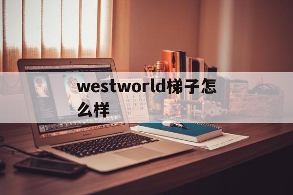 westworld梯子怎么樣的簡(jiǎn)單介紹